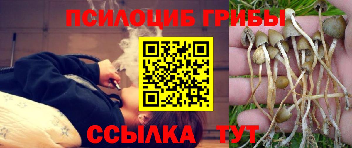 Псилоцибиновые грибы Magic Shrooms Усолье-Сибирское